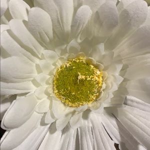 Meet your Posher, Shasta